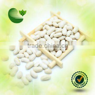 Heilongjiang White Kidney Beans (Bai Sha Ke)