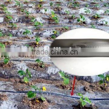 Mosaic flat emitter type drip irrigation tape