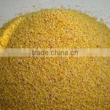 YELLOW MILLET