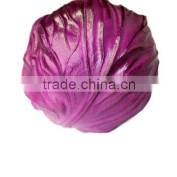 artificial mini type purple cabbage for decoration