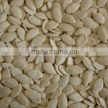 Pumpkin Seeds