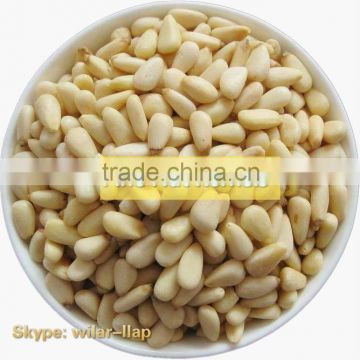 2014 Pine Nut Kernels, Dried Pine nut kernels