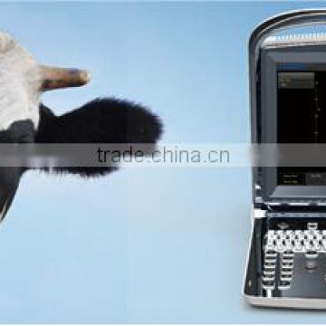 Veterinary Ultrasound Scanner ECO1 VET for Canine Bovine