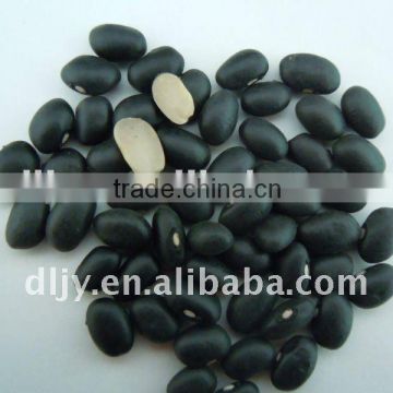 New Chinese Small Black Beans 2011 (white kernel )