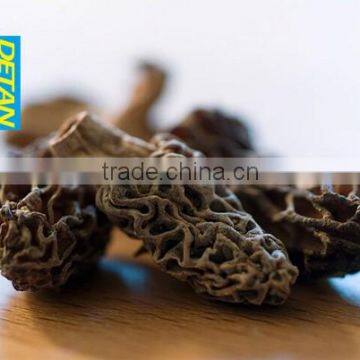 Dried morels Wild Hot Sell New Season