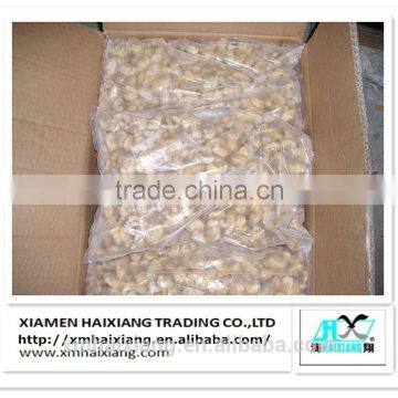 Frozen short necked clam meat IQF