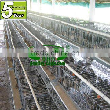 transportation quail cages