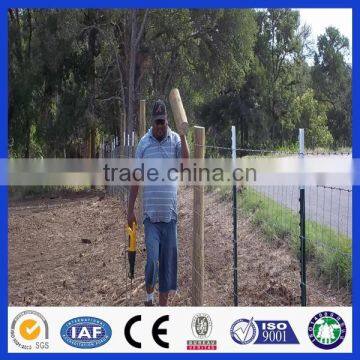 Factory low price good quality hot dipped galvanized field fence for cattle