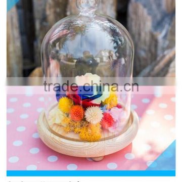 wooden micro landscape glass cover with wooden base for home decoration