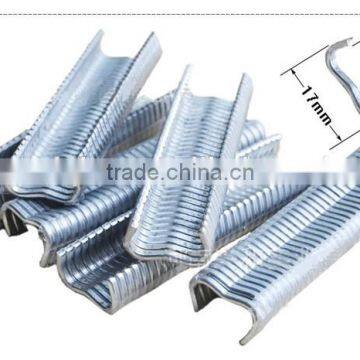 Poultry Cage Clamp Installation M Nail Fastening Clamp photo-5