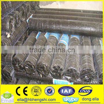 High quality galvanized hexagonal netting/ chicken mesh