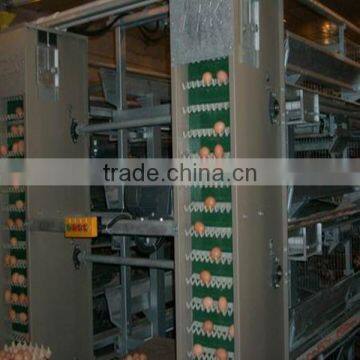 Automatic egg collect machine for layer chicken farm