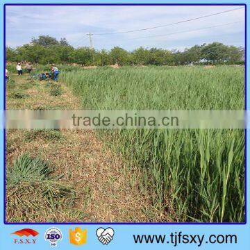 Wheat Reaper Binder Grass Cutter photo-4