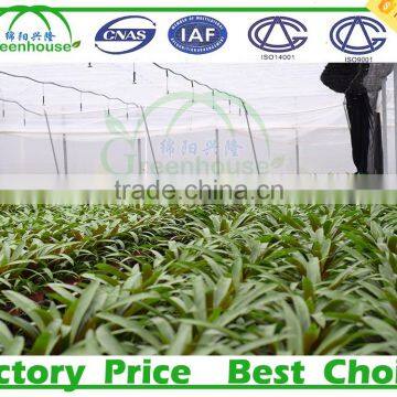 Green Houses for Agriculture photo-2