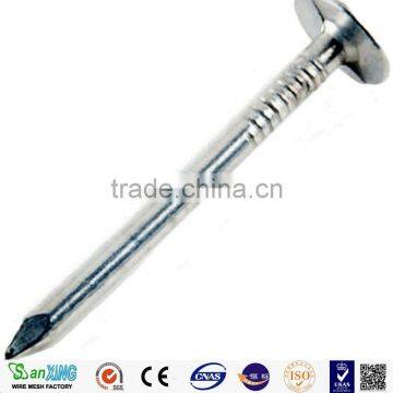 Building Material Common Nail Iron Rod photo-3