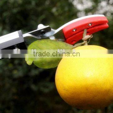 High Limb Pole Tree Pruner With Long Aluminum Handle photo-2