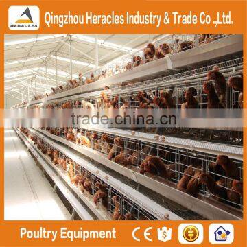 High Quality Cheap Poultry Cage Layer Chicken Used Chicken Cage photo-2