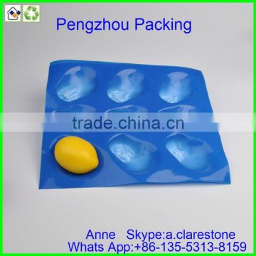 pengzhou plastic injection molding tray