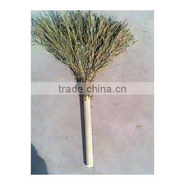 Outdoor brooms