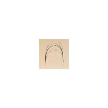 Orthodontics Arch Wire