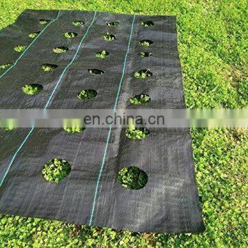 factory price agricultural fabric ground cover/landscape fabric with hole