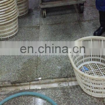 Fruit and vegetable washing and drying machine/Pouches washing and drying line