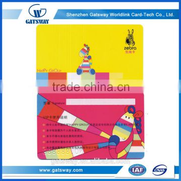 Custom Design Top Selling Printing Plastic Vip Card