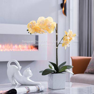 Product Photography, Furniture Photography, Lifestyle Photography, Product Photo Shoots photo-2