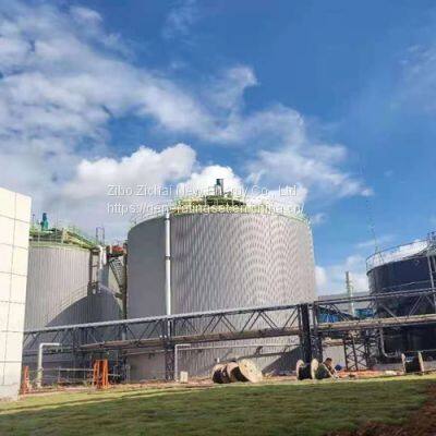 Hot Sale Wood Gas Biogas Natural Gas Power Generator Plant photo-2