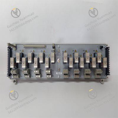 1C31223G01 EMERSON Relay output module