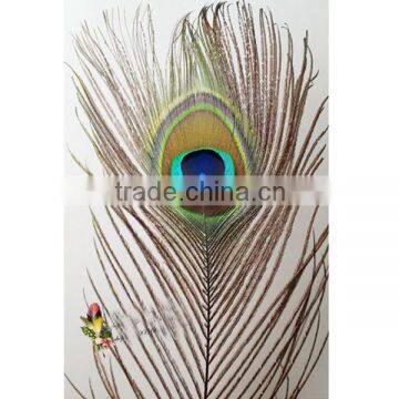 peacock feather decoration flag banner