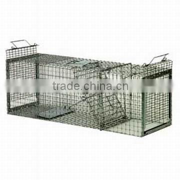 rat cage