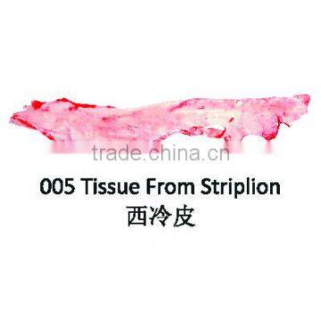 Tissue From Striplion - Halal Buffalo / Sheep Meat Offals