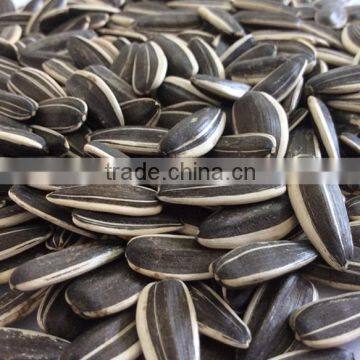 Chinese factories of raw sunflower seeds