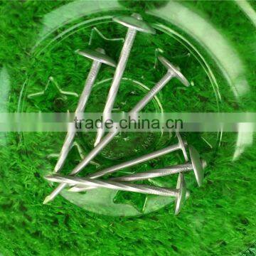 china umbrella corrugated roofing nails