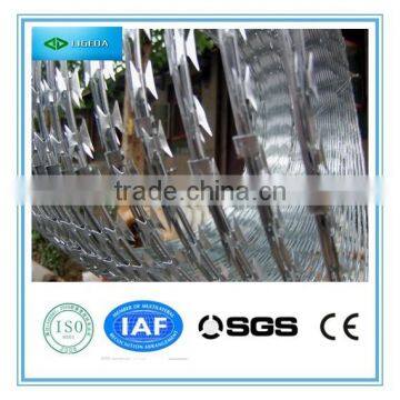 High quality concertina wire/ razor wire