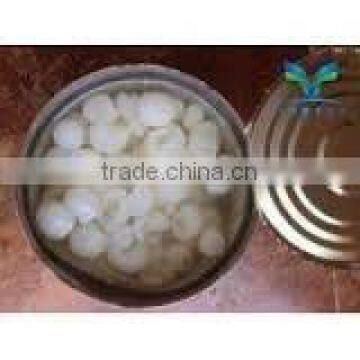 Canned Fresh Longan in Syrup A10 Tin (3100ml x 06 Tins)