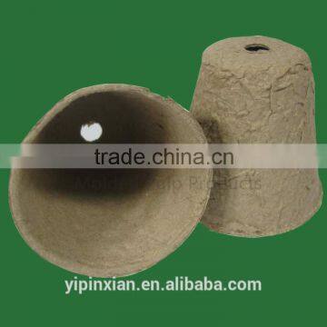 SGS Eco Friendly Disposable Paper Pulp Molded Packaging,disposable Paper Pulp Tray photo-4