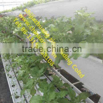 green large plant growing tray ,Hydroponics tray ,plastic trays for plants made in china