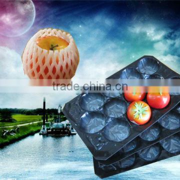 Manufacturing Tomato PP Plastic Packaging For Fruit