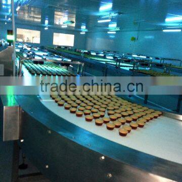 Cookies Cooling Conveyor System photo-3
