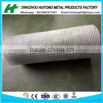 Square Chicken Wire Mesh /Galvanized Hexagonal Wire Mesh Nettings in Dingzhou Factory photo-3