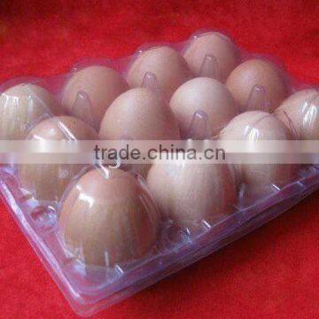 egg clamshell tray
