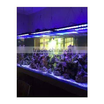 2016 New Product Android App Control Led Reef Lighting 4 Channels via Wifi Coral Reef Use Led Aquarium photo-5