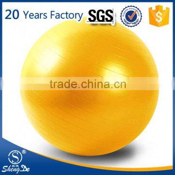 Wholesale logo printing oval gym ball,private label exercise ball,ball for gym