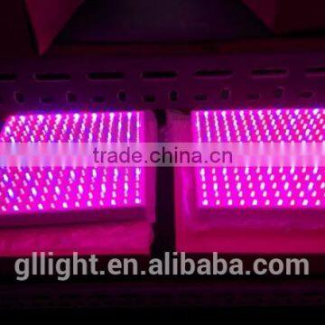 UV led grow light 14 watt led grow light panel for seed 3 years warranty led grow light