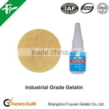 Industrial Gelatin For Adhesives & Sealants/Chemical Agent Gelatin