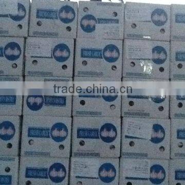 Fresh Garlic photo-4