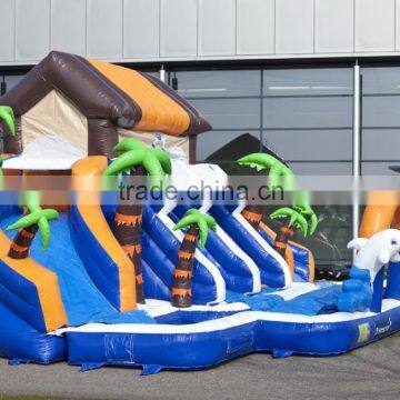 Boys and Girls Water Inflatable Pool Slide, Low Price Inflatable Waterslide on Sale