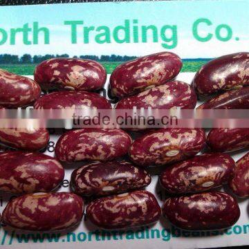 Purple Speckled Kidney Bean( 2010 crop, Heilongjiang Origin, Hps)